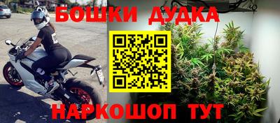стафф Шахты