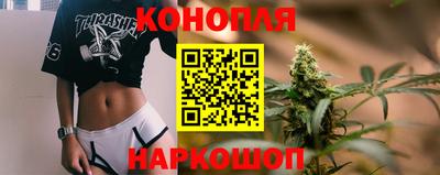 стафф Шахты