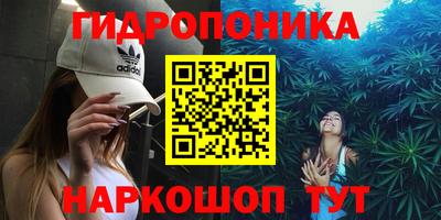 стафф Шахты