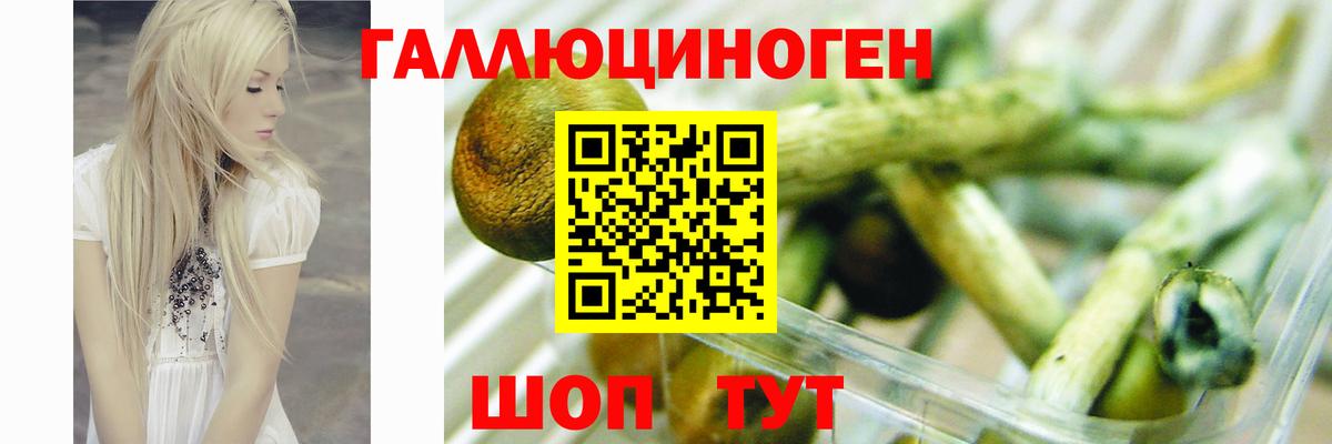 Бердск  Галлюциногенные грибы Cubensis  купить   Вход с VPN  Псилоцибиновые грибы мухоморы 