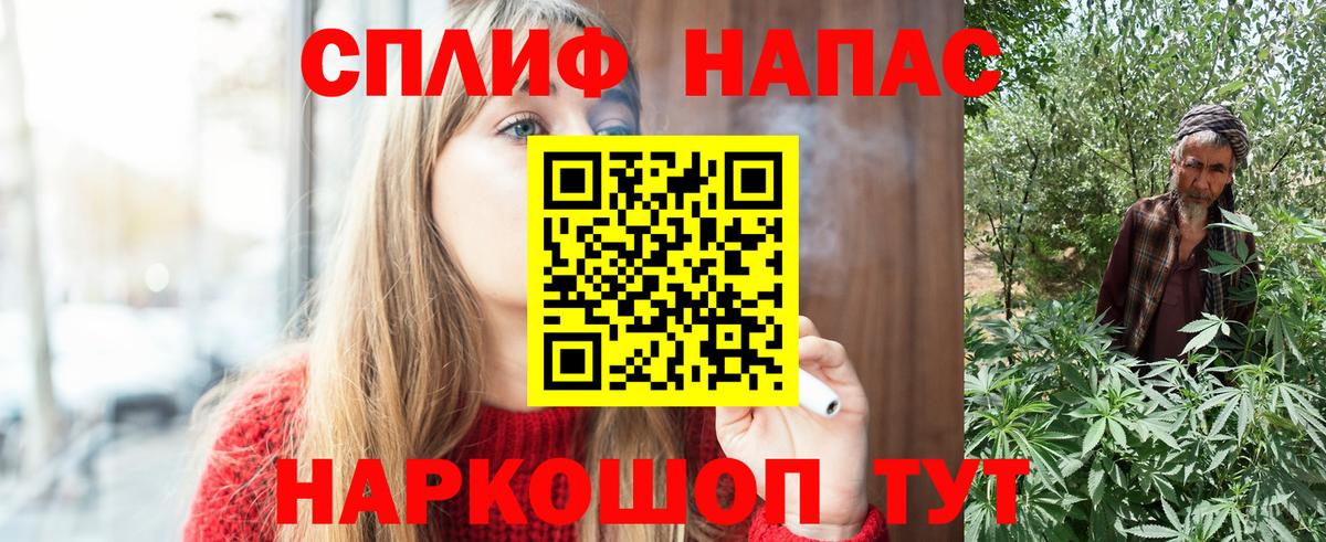Конопля планчик  Вход с VPN  Бошки Шишки Bruce Banner  Бердск  Канабис планчик  Марихуана семена 